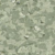 Asparagus 1320