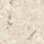 Nutmeg 1910