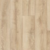 California Oak 2145