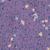 Space Mauve 4230