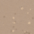 Caramel Latte 5213