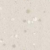Lunar Shell 5772
