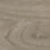 Light Elm 6506