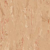 Buckwheat 8850