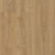 English Oak 9823